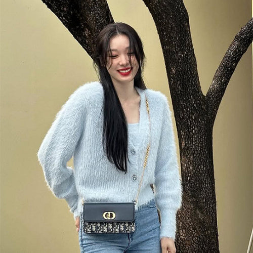 디올 30 몽테인 파우치 체인 (김연아 착용)