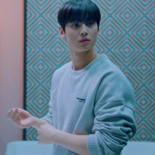 (국내배송, 당일출고) 피어오브갓 X 제냐 로고 프린트 스웻셔츠 (차은우, 이승기, 화사, 피오, 이뎐 착용)